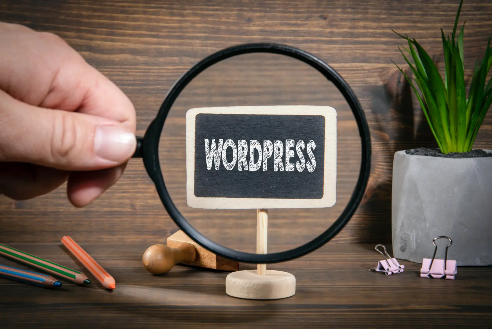 CMS WordPress : la plateforme utilisée pour la création de votre site internet
